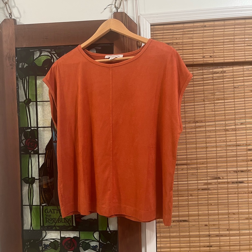 Coldwater Creek burnt orange tee.
Swede stretch